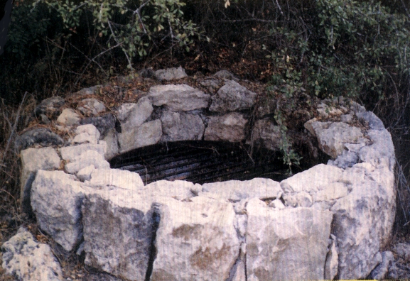 Picture0117.jpg
