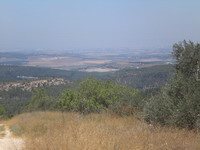 Picture0201.jpg